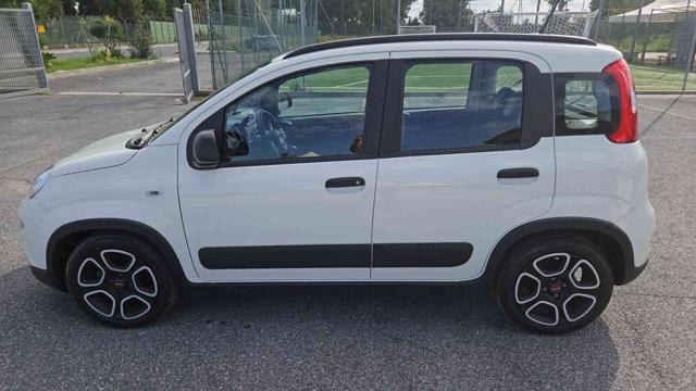 FIAT Panda 1.0 FireFly S&S Hybrid City Life Immagine 4