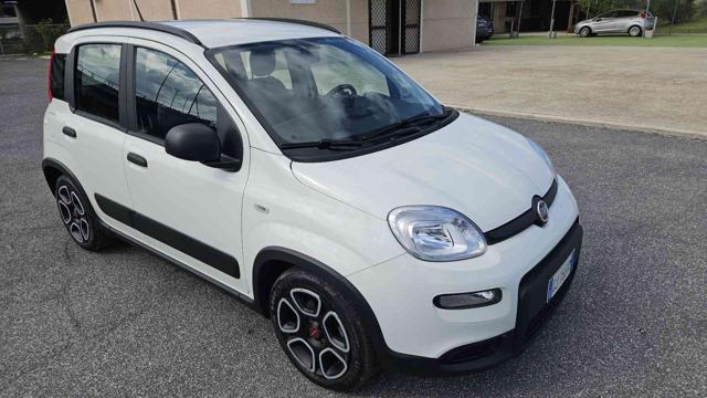 FIAT Panda 1.0 FireFly S&S Hybrid City Life Immagine 1