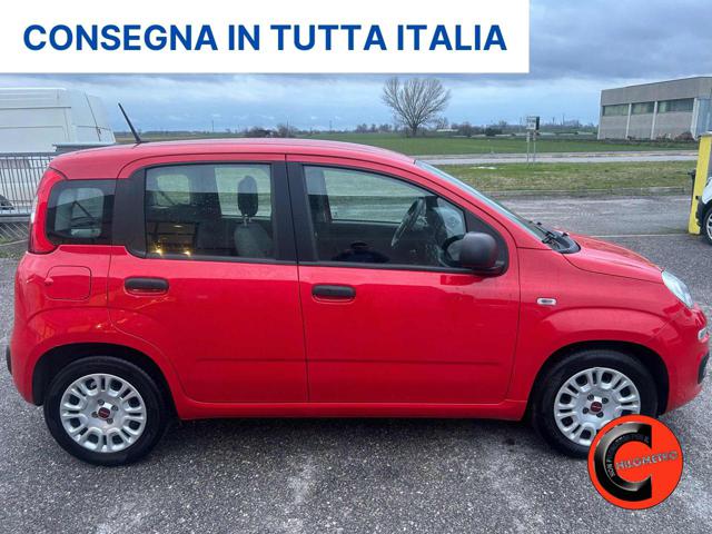 FIAT Panda 1.0 FIREFLY HYBRID CITY LIFE X NEOPATENTATI- Immagine 2