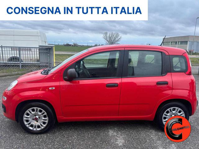 FIAT Panda 1.0 FIREFLY HYBRID CITY LIFE X NEOPATENTATI- Immagine 1