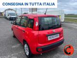 FIAT Panda 1.0 FIREFLY HYBRID CITY LIFE X NEOPATENTATI-