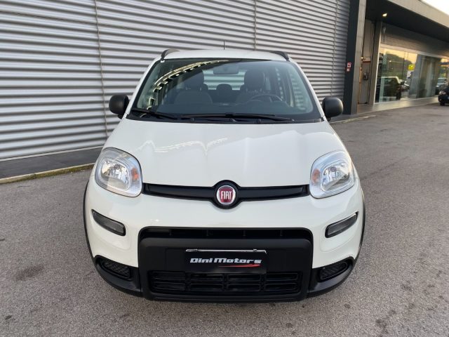 FIAT Panda 1.0 FireFly Hybrid City Life OK NEO IVA ESPOSTA Immagine 1