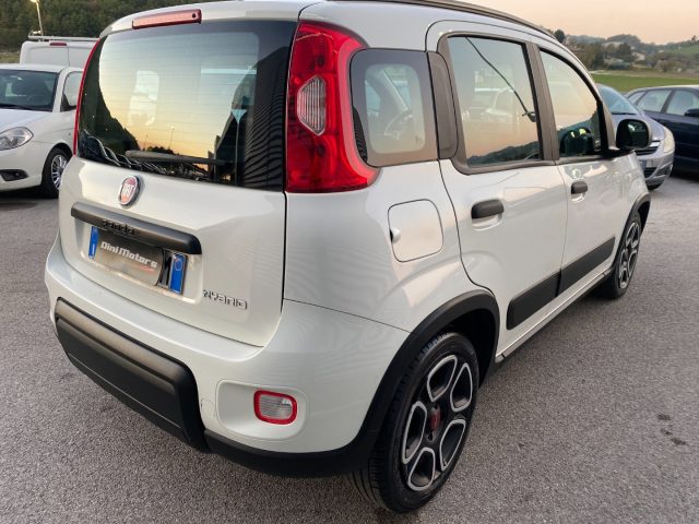 FIAT Panda 1.0 FireFly Hybrid City Life OK NEO IVA ESPOSTA Immagine 4