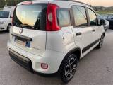 FIAT Panda 1.0 FireFly Hybrid City Life OK NEO IVA ESPOSTA