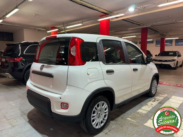 FIAT Panda 1.0 Hybrid Pandina PREZZO REALE Immagine 4