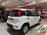 FIAT Panda 1.0 Hybrid Pandina PREZZO REALE