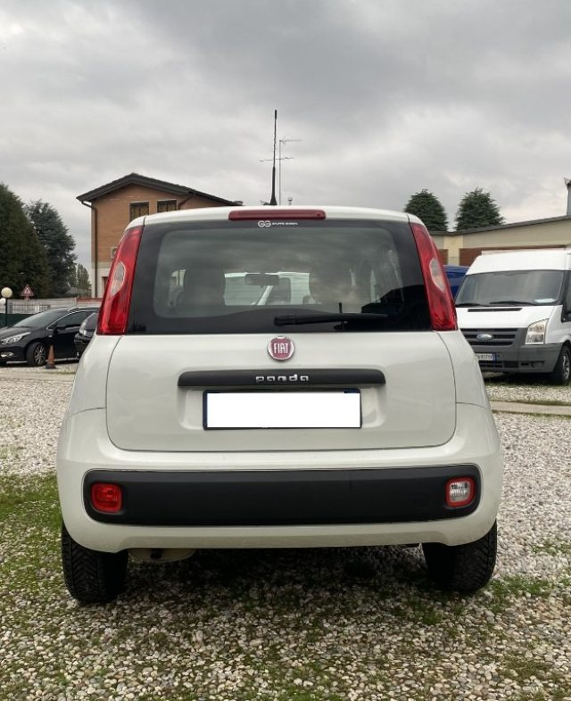 FIAT Panda 1.2 Easy Immagine 4