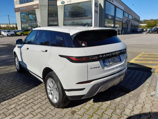 LAND ROVER Range Rover Evoque 2.0D I4-L.Flw 150 CV AWD Auto SE AUTOCARRO Immagine 3