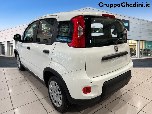 FIAT Panda 1.0 FireFly S&S Hybrid Immagine 2