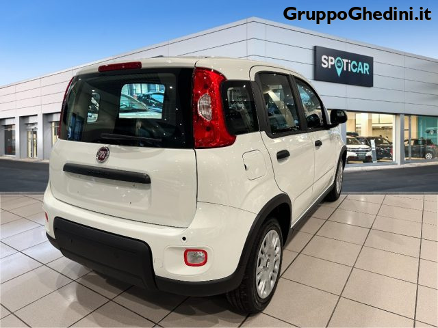 FIAT Panda 1.0 FireFly S&S Hybrid Immagine 4