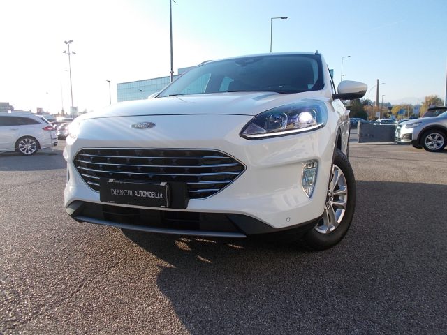 FORD Kuga 2.0 EcoBlue Hybrid 150 CV 2WD Titanium Business Immagine 3