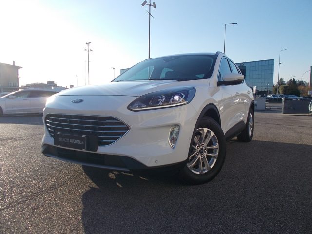 FORD Kuga 2.0 EcoBlue Hybrid 150 CV 2WD Titanium Business Immagine 1