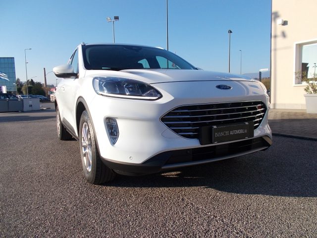 FORD Kuga 2.0 EcoBlue Hybrid 150 CV 2WD Titanium Business Immagine 2