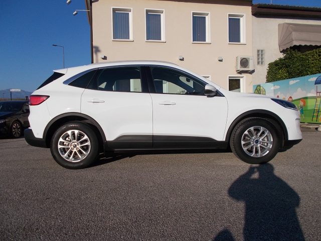 FORD Kuga 2.0 EcoBlue Hybrid 150 CV 2WD Titanium Business Immagine 4