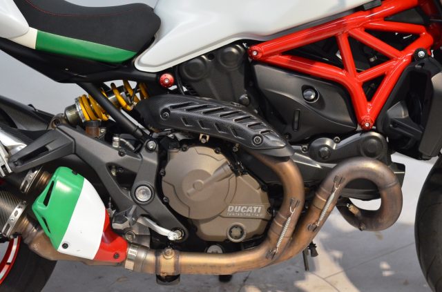 DUCATI Monster 821 ABS 2015 - 21.000 KM + TERMIGNONI Immagine 2