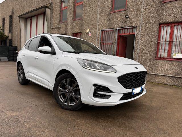 FORD Kuga 1.5 EcoBlue 120 CV aut. 2WD ST-Line Immagine 0