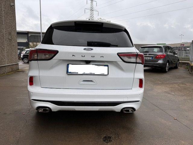 FORD Kuga 1.5 EcoBlue 120 CV aut. 2WD ST-Line Immagine 4