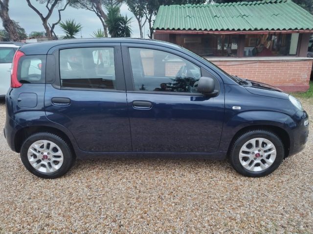 FIAT Panda 1.2 EasyPower Easy Immagine 2