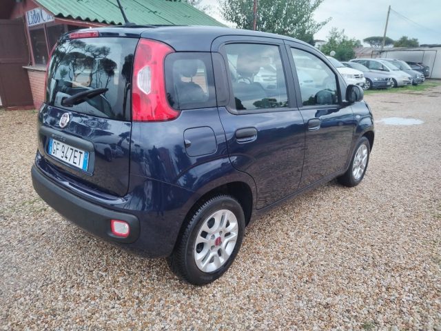 FIAT Panda 1.2 EasyPower Easy Immagine 3