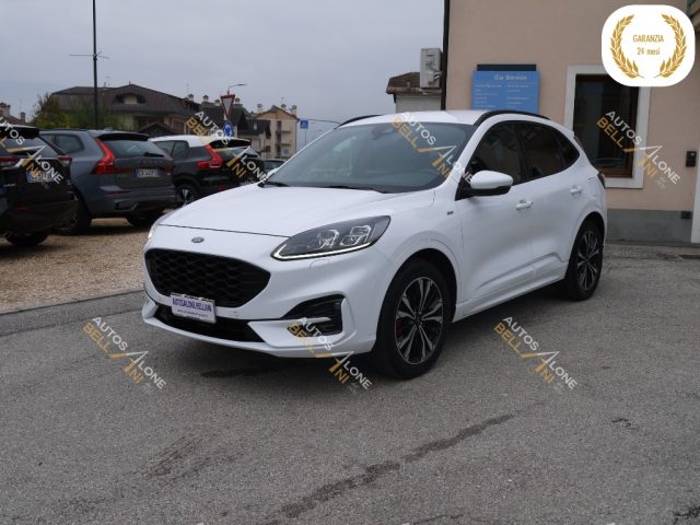 FORD Kuga 1.5 EcoBoost 150 CV 2WD ST-Line X Immagine 2