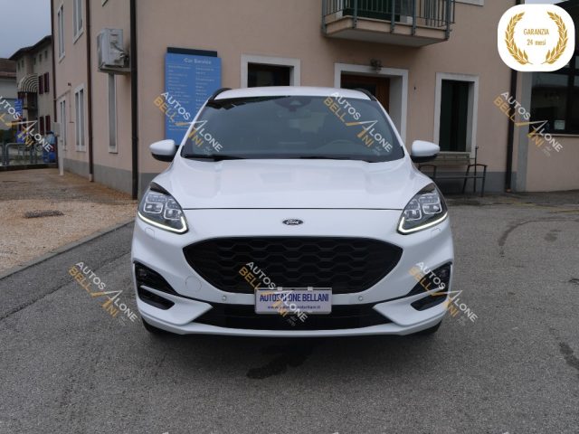 FORD Kuga 1.5 EcoBoost 150 CV 2WD ST-Line X Immagine 1