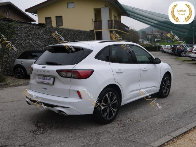 FORD Kuga 1.5 EcoBoost 150 CV 2WD ST-Line X Immagine 4