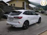 FORD Kuga 1.5 EcoBoost 150 CV 2WD ST-Line X