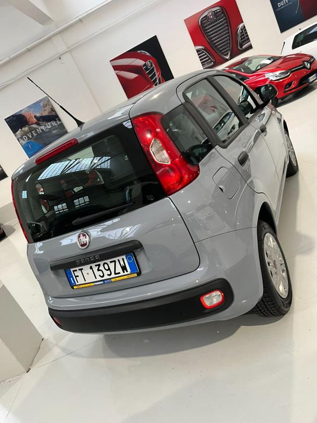 FIAT Panda 1.2 Easy con promo "PANERO PLUS" Immagine 2