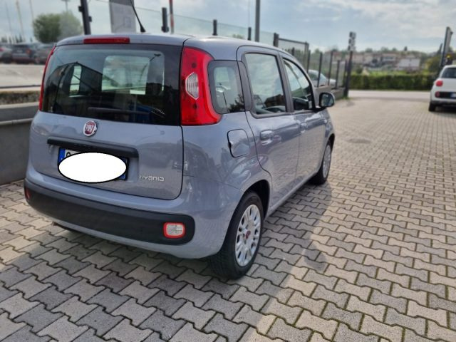 FIAT Panda 1.0 FireFly S&S Hybrid Immagine 1