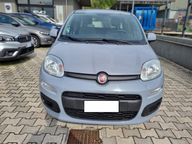 FIAT Panda 1.0 FireFly S&S Hybrid Immagine 2