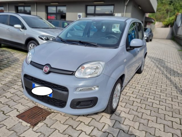 FIAT Panda 1.0 FireFly S&S Hybrid Immagine 3