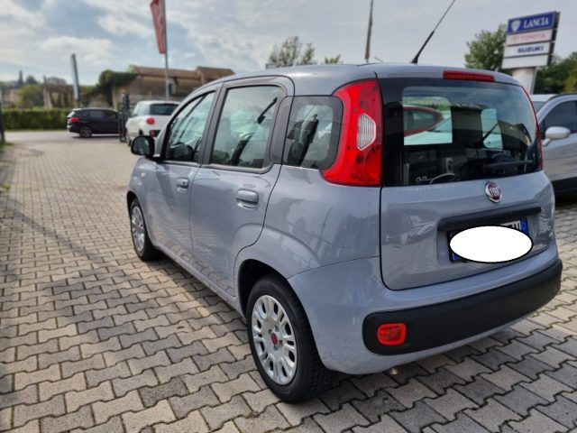 FIAT Panda 1.0 FireFly S&S Hybrid Immagine 4