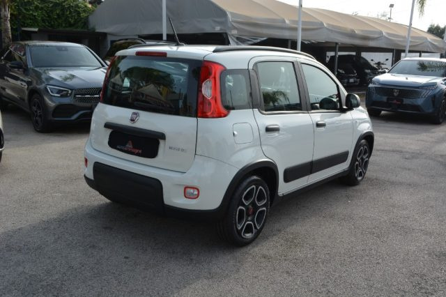 FIAT Panda 1.0 FireFly S&S Hybrid City Life Immagine 2