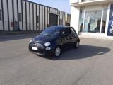 FIAT 500 PROMO RITIRO FINO Euro 5 1.0 Hybrid Pop