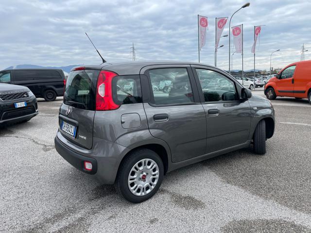 FIAT Panda 1.0 FireFly S&S Hybrid Immagine 3