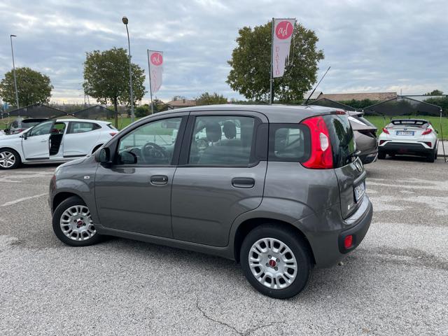 FIAT Panda 1.0 FireFly S&S Hybrid Immagine 2