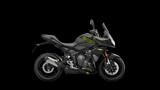 TRIUMPH Tiger Sport 800 2025