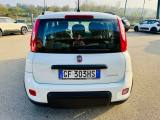 FIAT New Panda 1.0 CITY LIFE *CAR PLAY* NO OBBLIGO FINANZIAMENTO