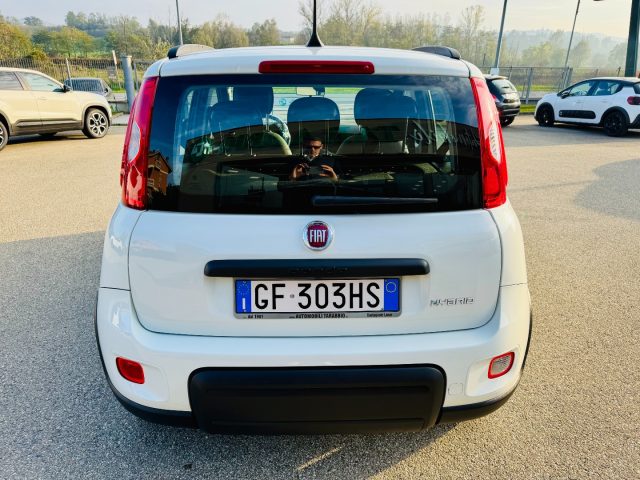 FIAT New Panda 1.0 CITY LIFE *CAR PLAY* NO OBBLIGO FINANZIAMENTO Immagine 4