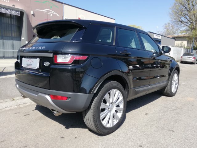 LAND ROVER Range Rover Evoque 2.0 eD4 5p. Business Edition Premium Pure Immagine 3