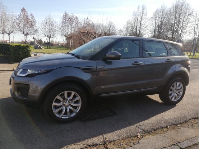 LAND ROVER Range Rover Evoque 2.0 eD4 5p. Business Edition Premium Pure Immagine 4