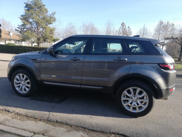 LAND ROVER Range Rover Evoque 2.0 eD4 5p. Business Edition Premium Pure Immagine 3