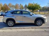 LEXUS NX 300 Hybrid Business Unico Proprietario Cronotagliandi