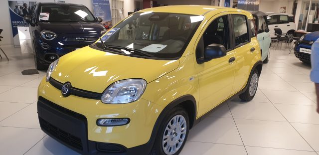 FIAT Panda 1.0 FireFly S&S Hybrid Immagine 0