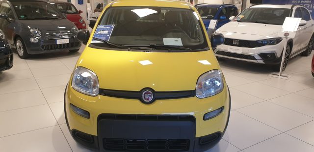 FIAT Panda 1.0 FireFly S&S Hybrid Immagine 1