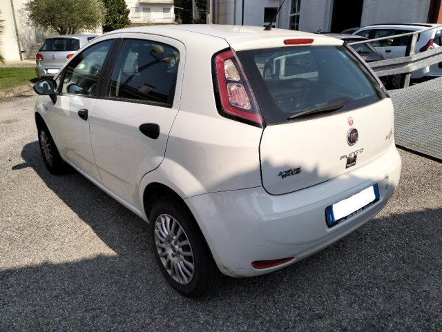 FIAT Punto 1.4 8V 5 porte Natural Power Street Immagine 4