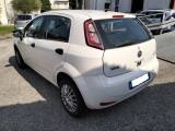 FIAT Punto 1.4 8V 5 porte Natural Power Street