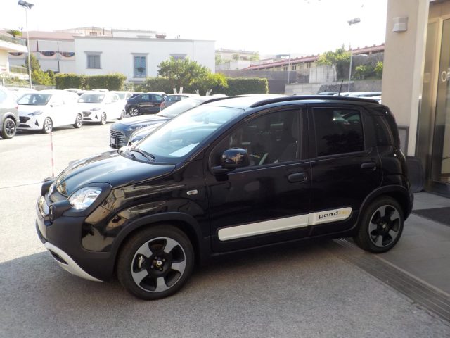 FIAT Panda NEW - 1.0 FireFly Hybrid PANDINA Immagine 1