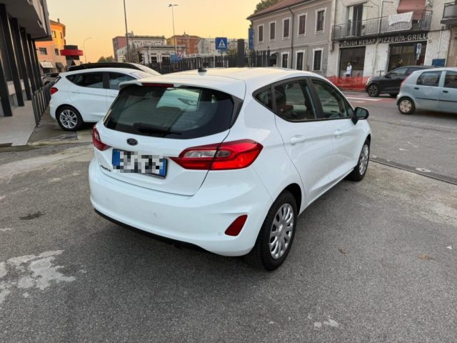 FORD Fiesta 1.5 EcoBlue 5 porte Plus Immagine 4