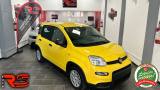 FIAT Panda 1.0 FireFly S&S Hybrid Pandina Adatta Neopatentati